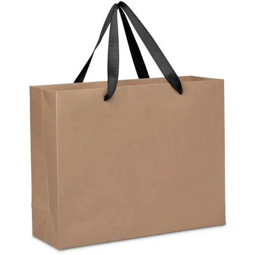 Altitude EcoElite Midi Paper Gift Bag Angle